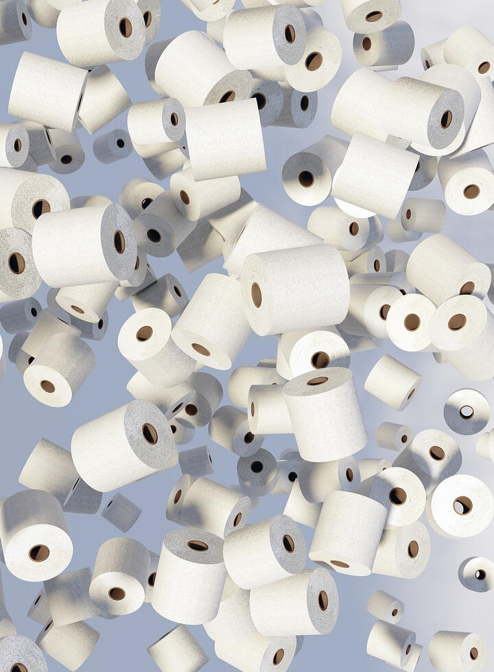 The Sustainable Toilet Paper Company LLC Logo