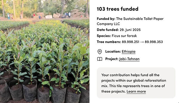 planting trees The Sustainable Toilet Paper Company